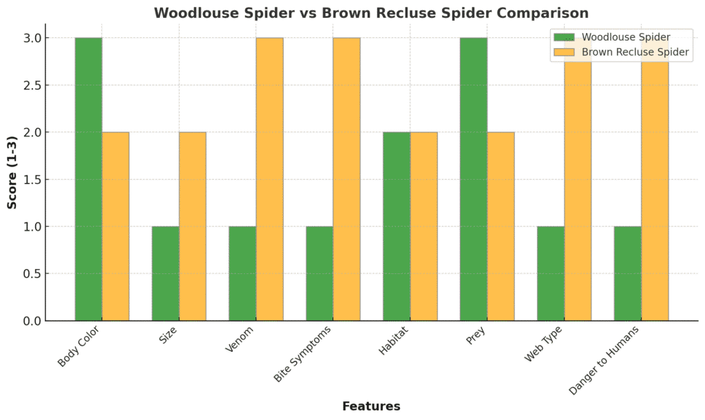 Wooodlouse spider vs brown recluse spider comparison